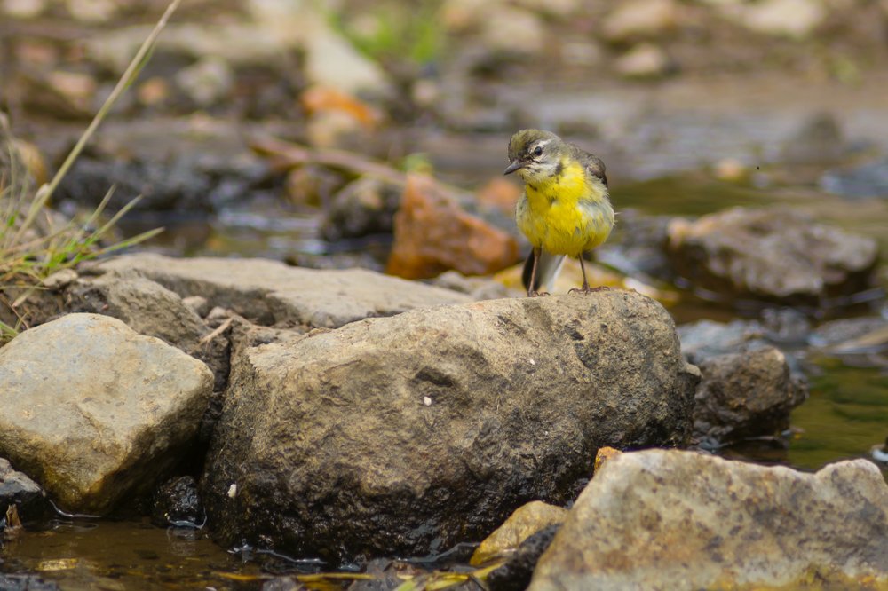 Photograph by Жданов Дмитрий