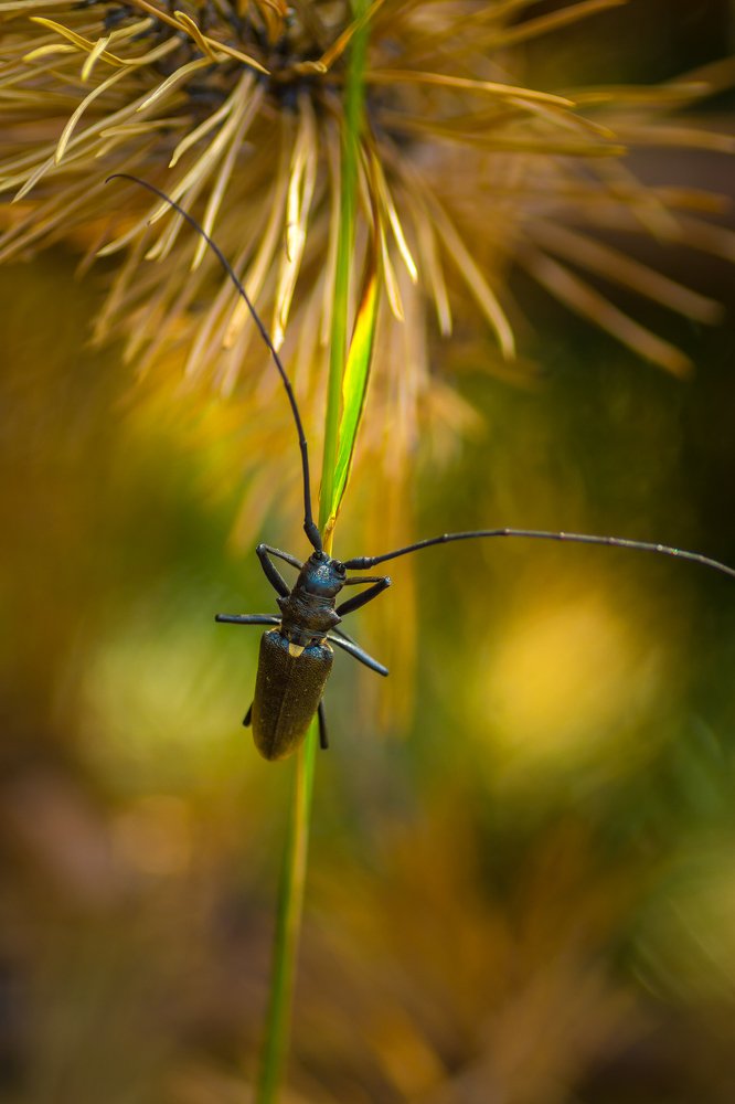 Photograph by Жданов Дмитрий
