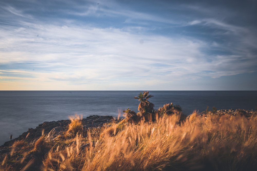 Photograph by Pablo D\'Andrea