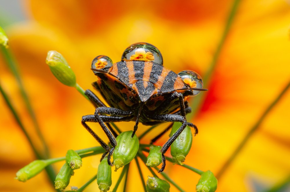 Photograph by Иван Радьков