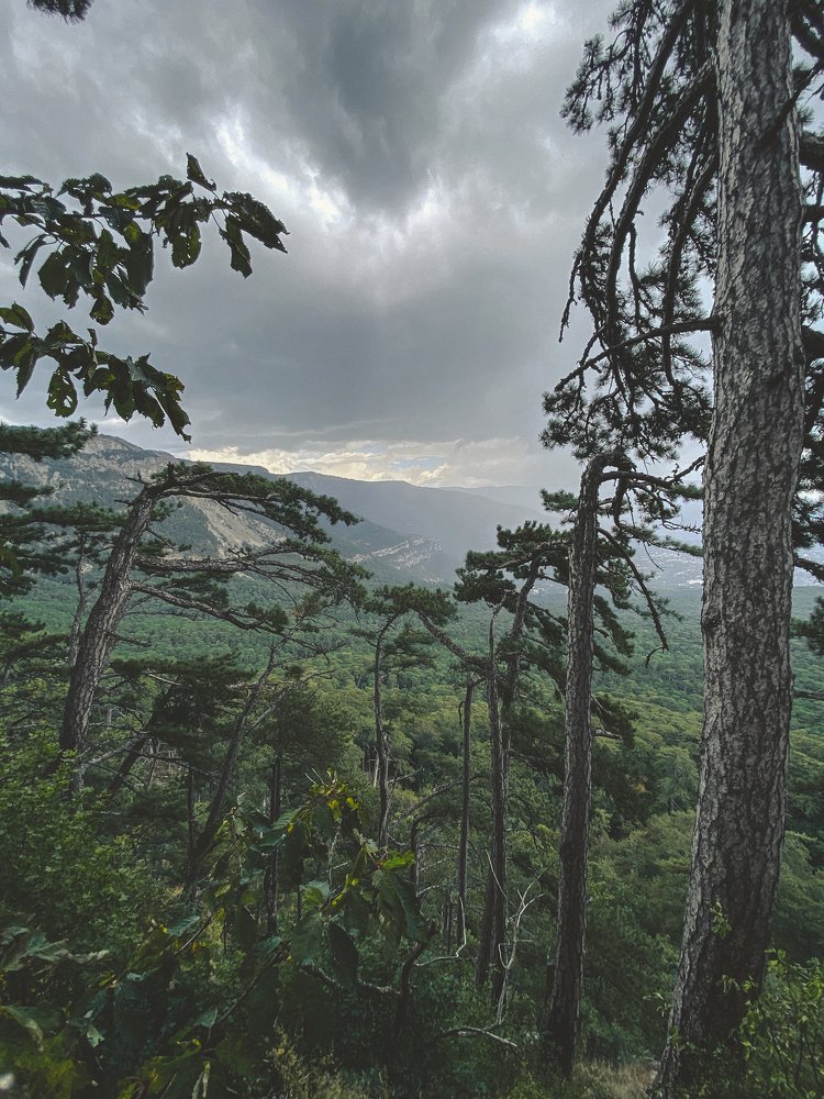 Photograph by Зарина Маснева