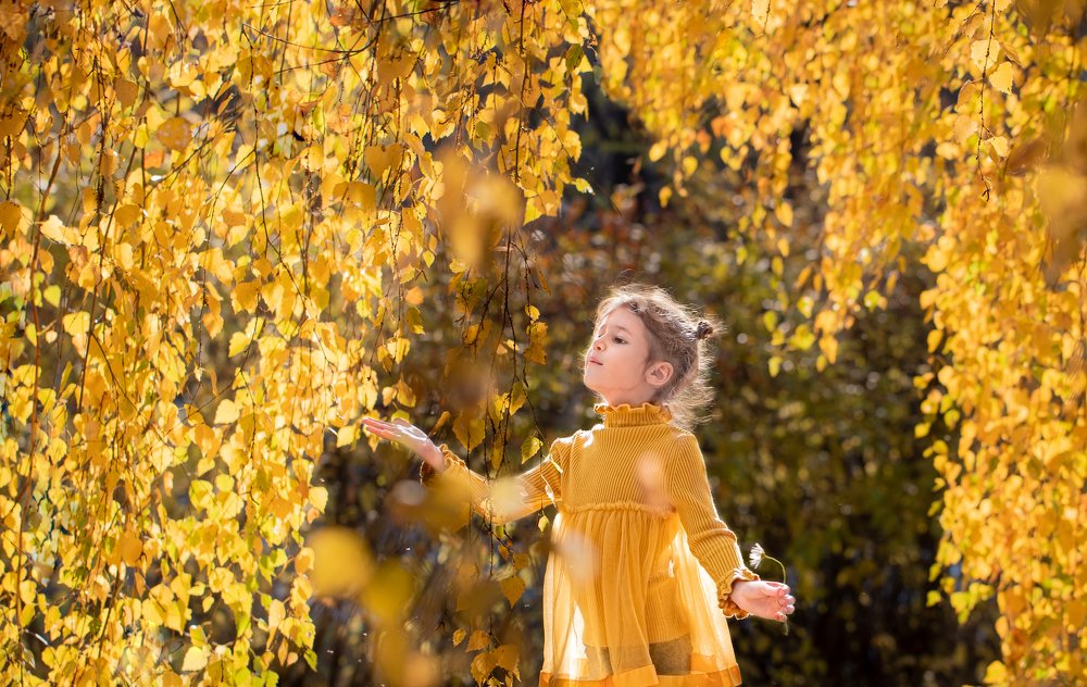 Осенний лучик