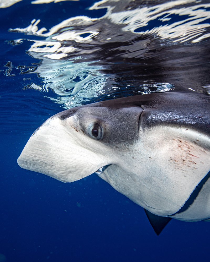 Photograph by Mizael Palomeque