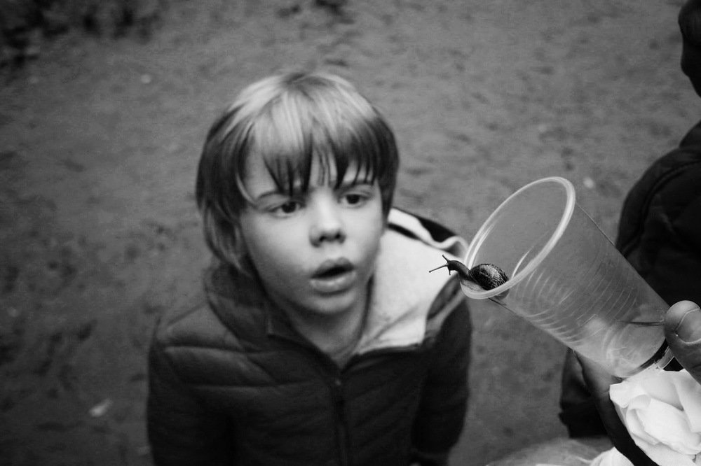 Photograph by Виктория Горельченко