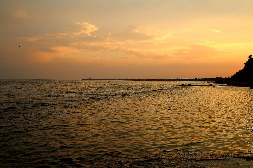 Photograph by 
