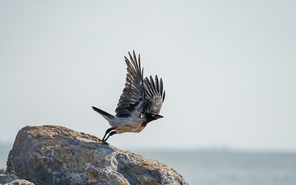 Photograph by Евгений Важенин