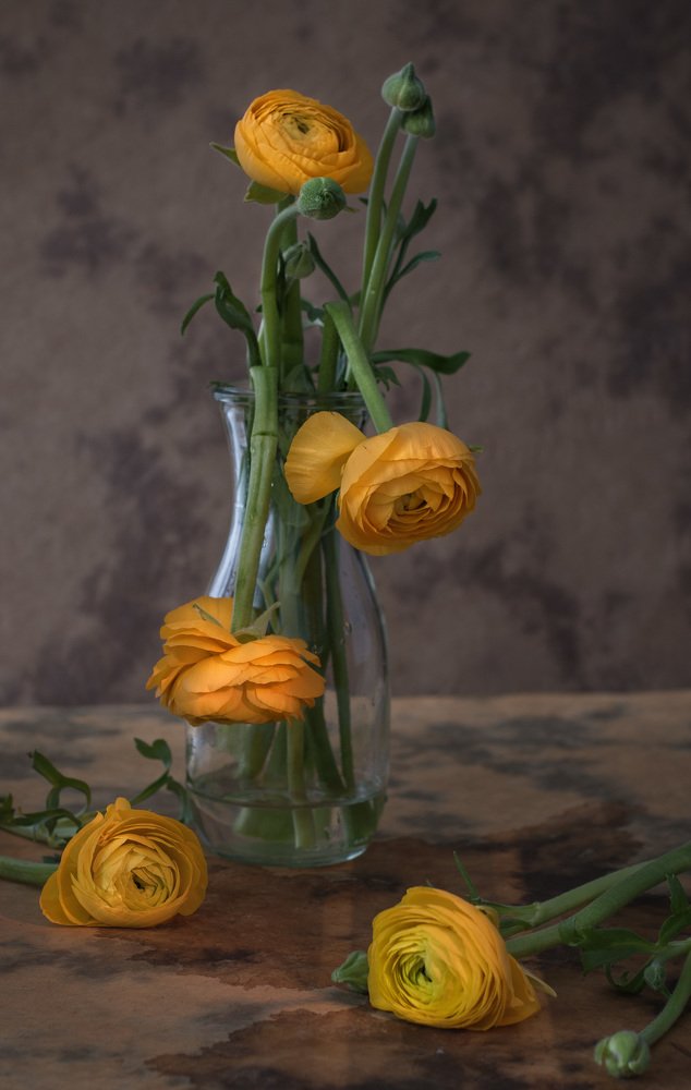 Photograph by Viktoria Alaküla