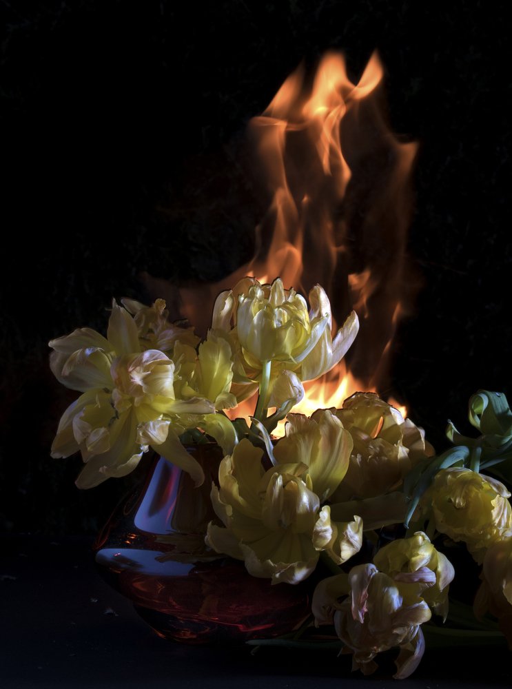 Photograph by Viktoria Alaküla