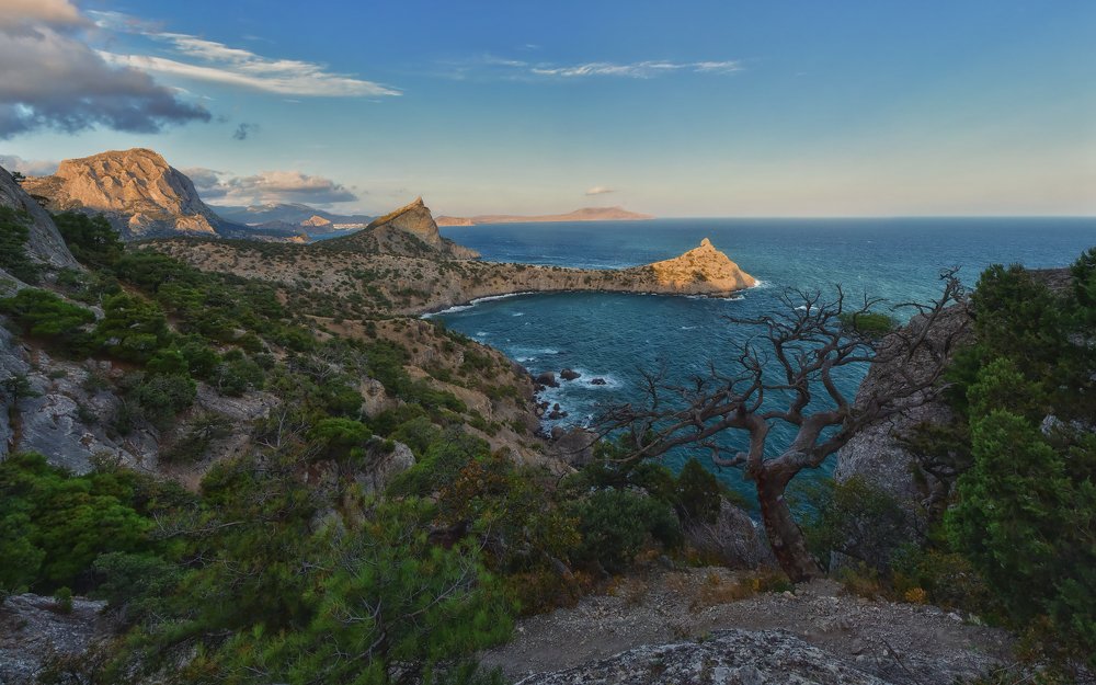 На Новый Свет опускался вечер…