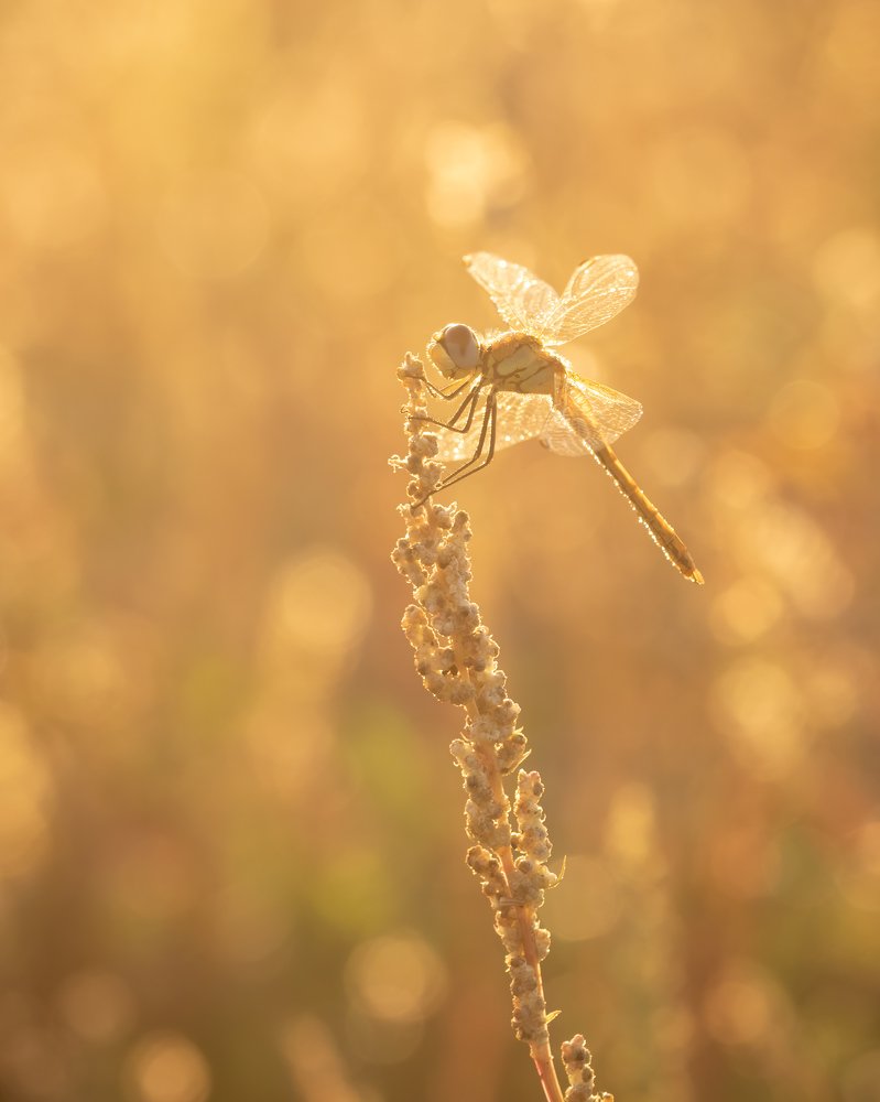 Photograph by Arjan de Heer