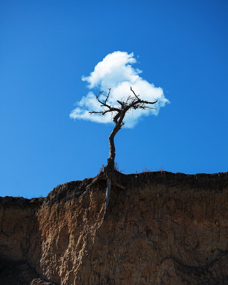 Photograph by Саша Колода