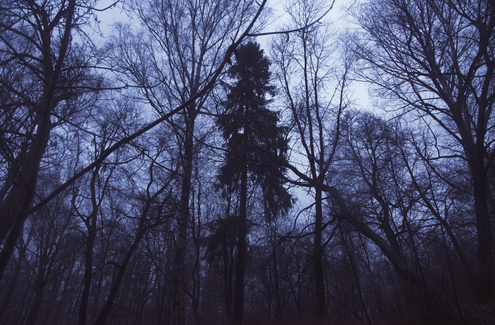 Photograph by Anna