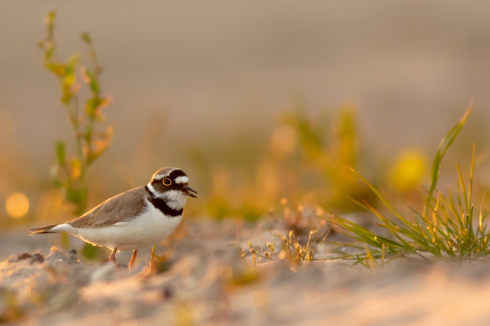 Photograph by Arjan de Heer