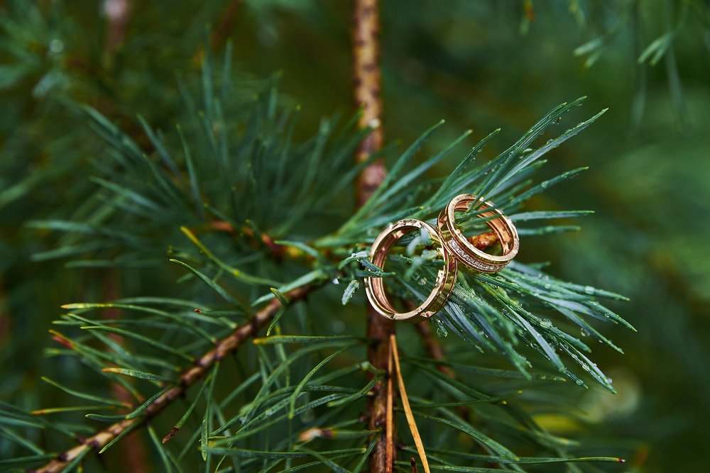 Photograph by Тарасов Денис