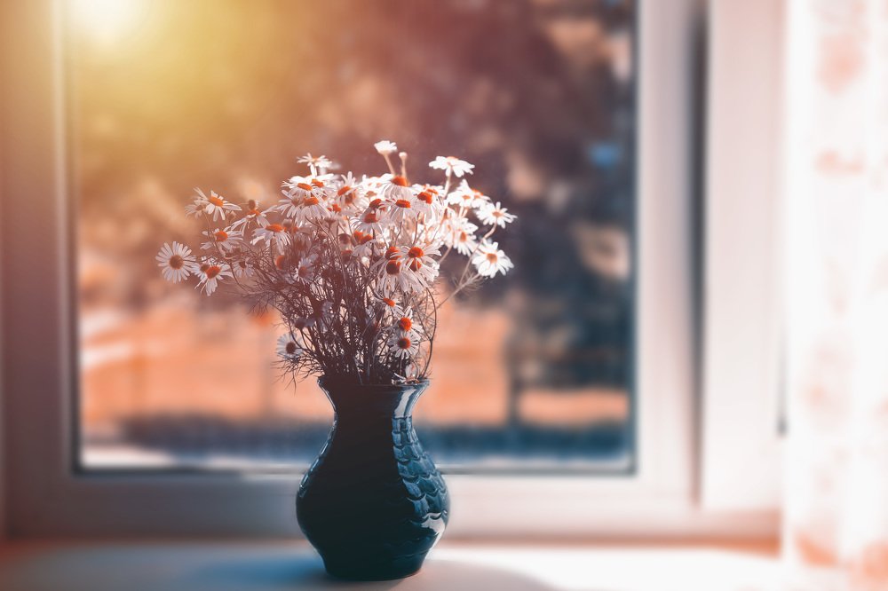 Photograph by Сергей Кочетов