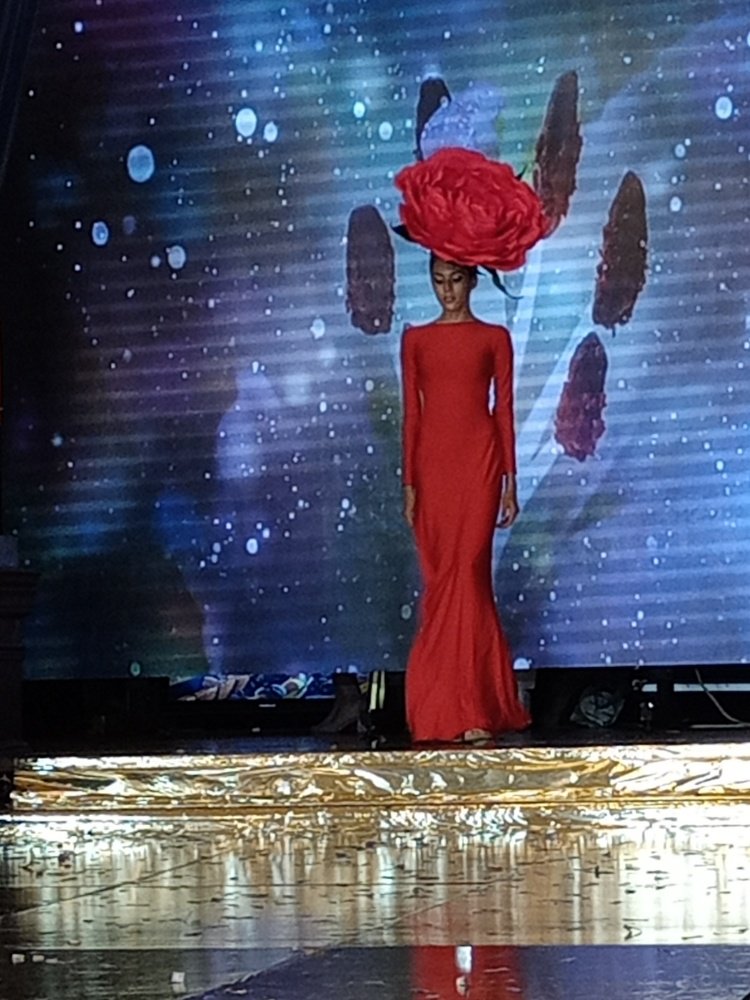 Photo #4948359