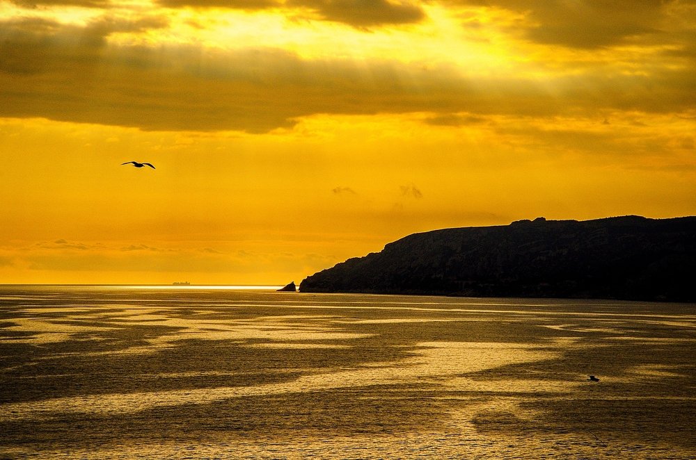 Photograph by Milan Uhrin