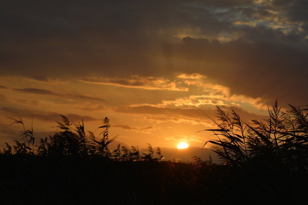 Photograph by Валера Алдошин