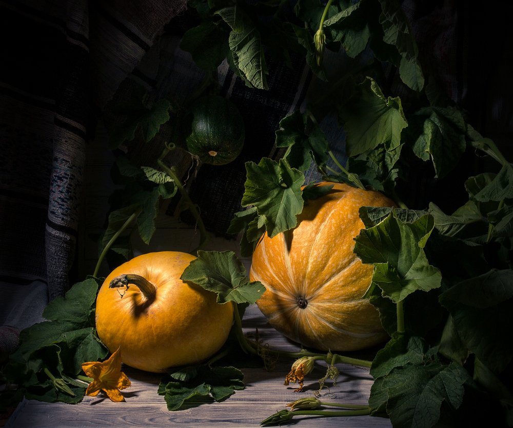 Photograph by Екатерина Родченкова