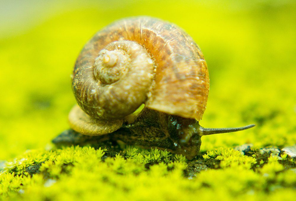 Photograph by Ravishanka Fonseka