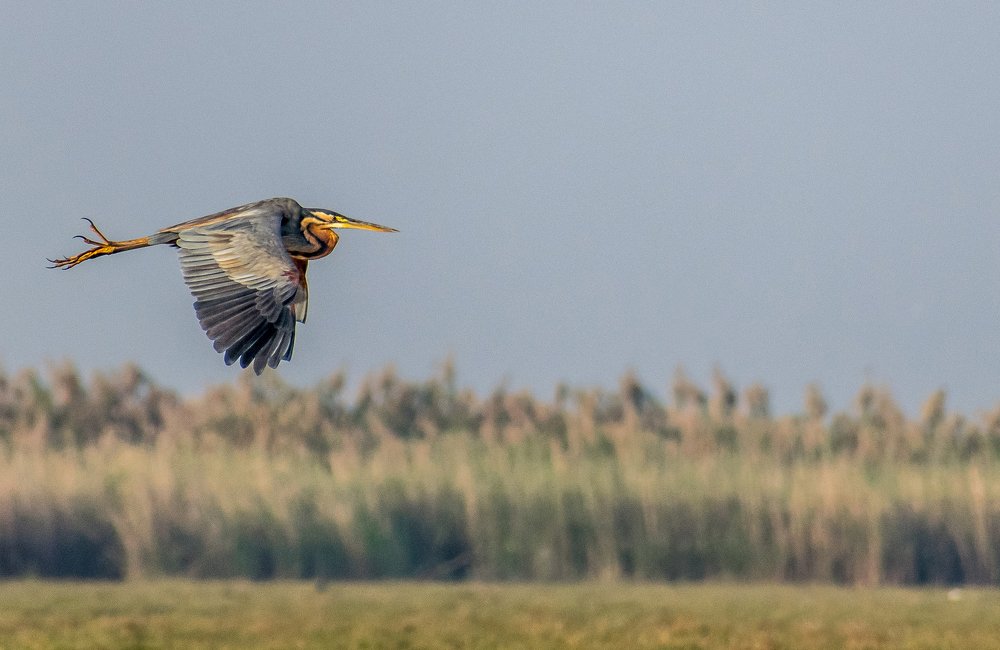 Photograph by Bikash Debnath