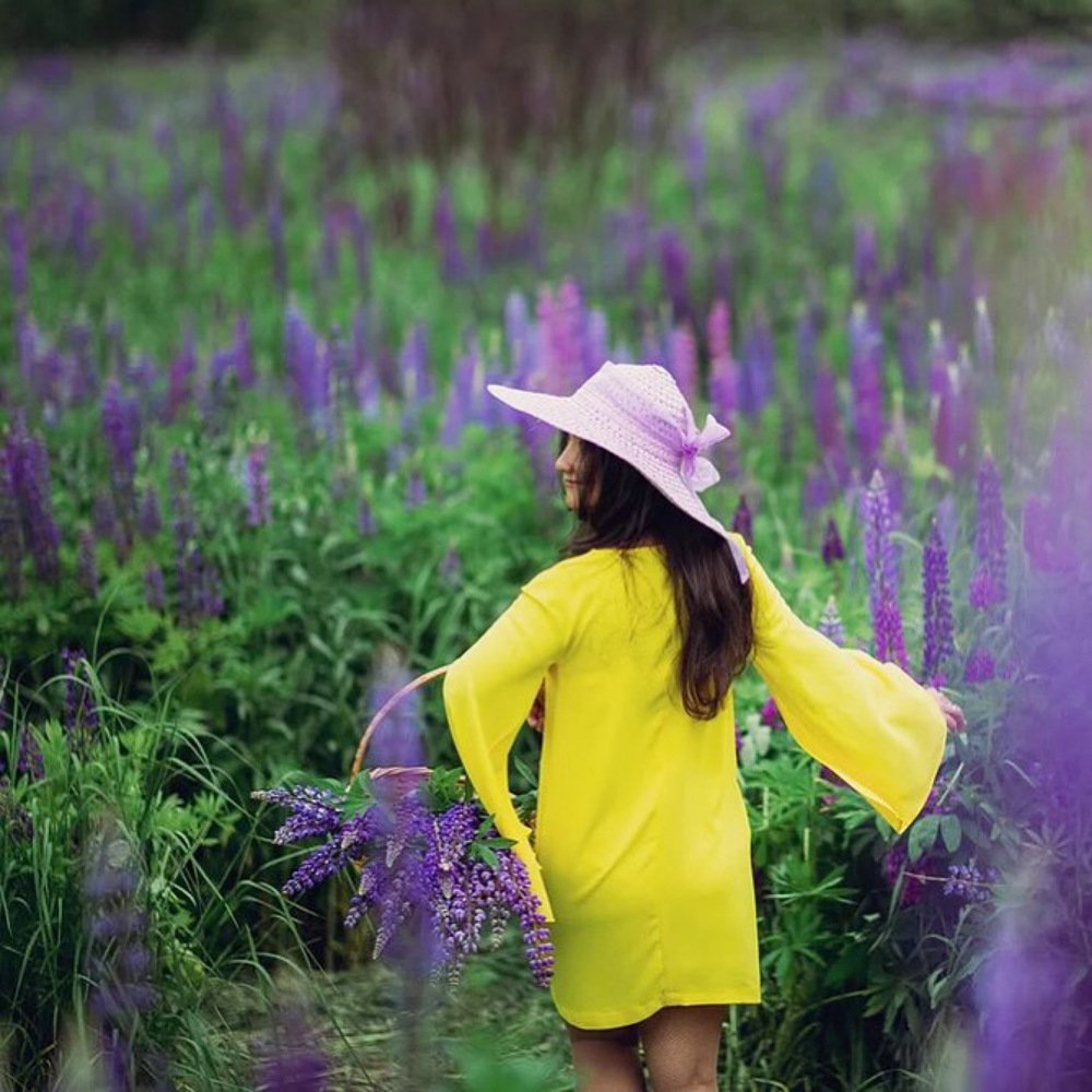 Lupin Inspiration