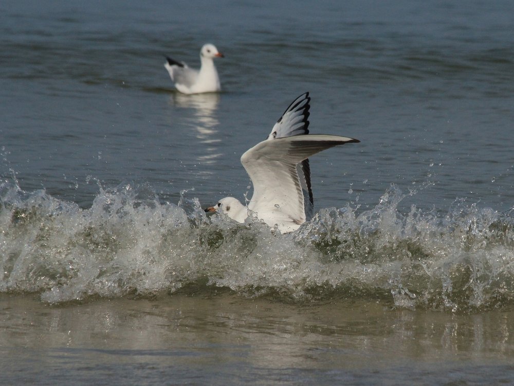 Photograph by Barbara