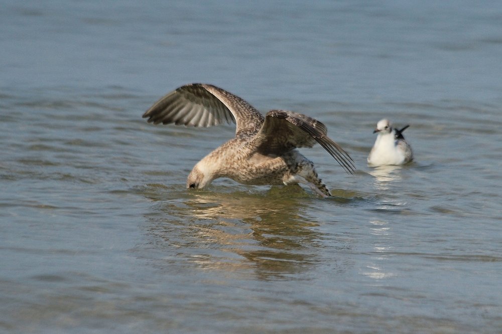 Photograph by Barbara