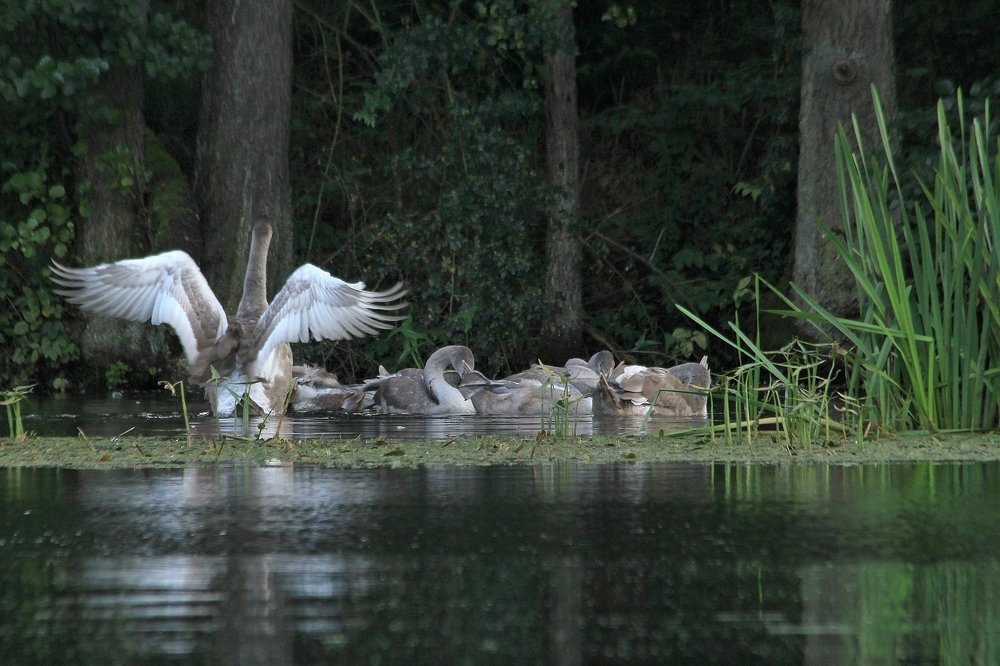 Photograph by Barbara