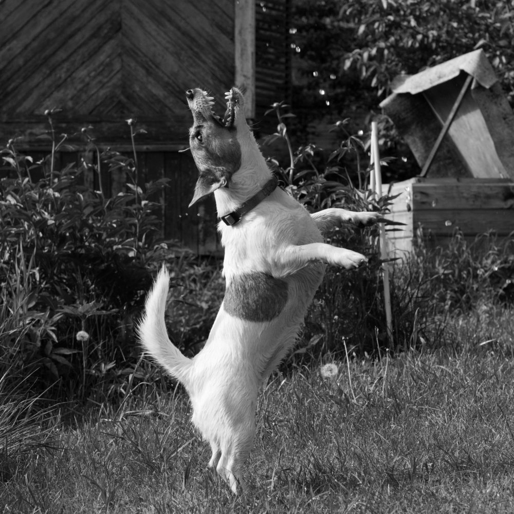 Photograph by Ксения Березкина