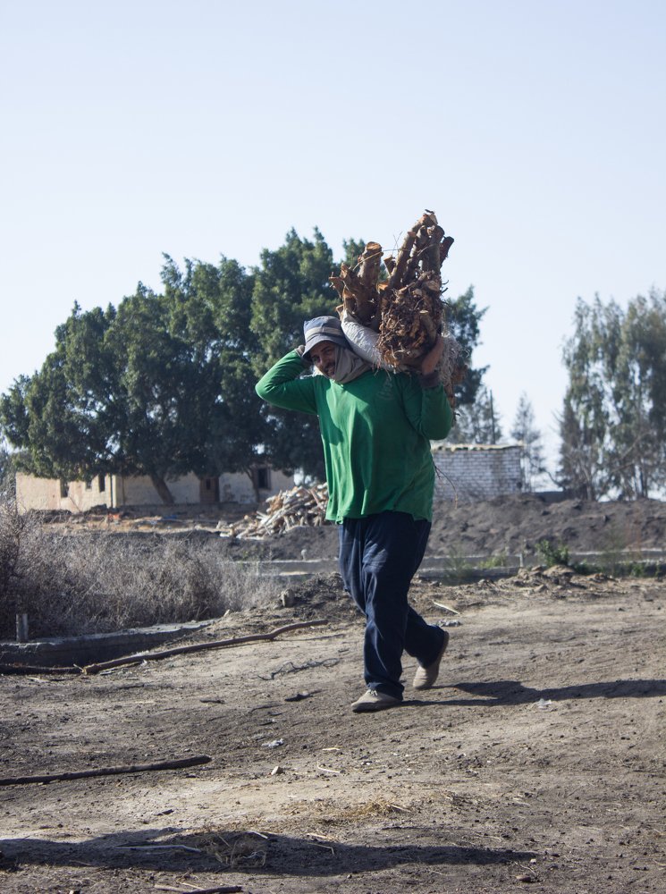 Photograph by Islam Elhadary