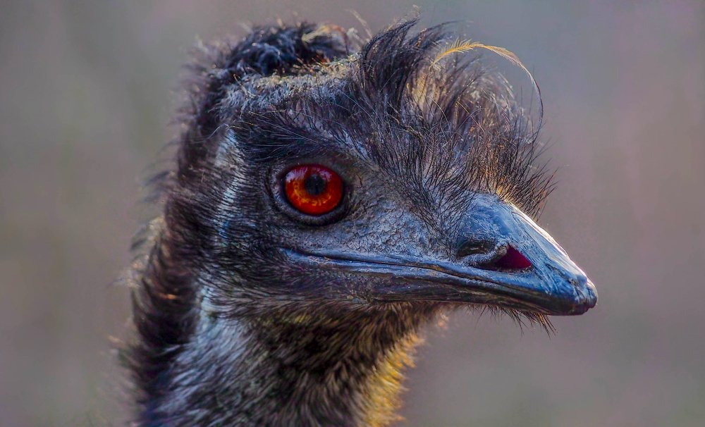 Photograph by Yana Marinova