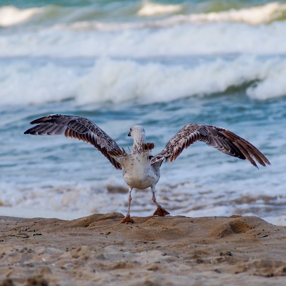 Photograph by Yana Marinova