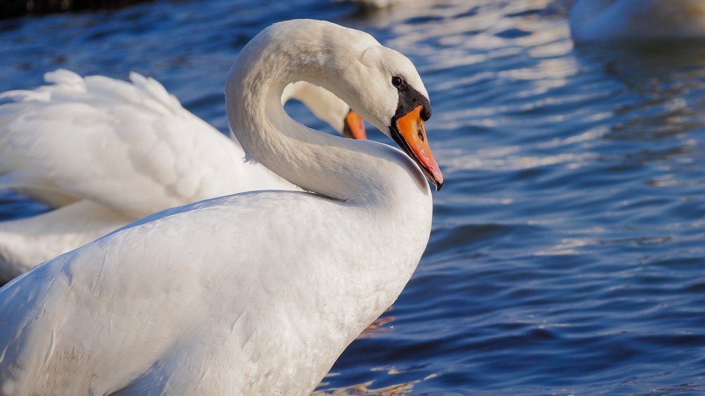 Photograph by Yana Marinova