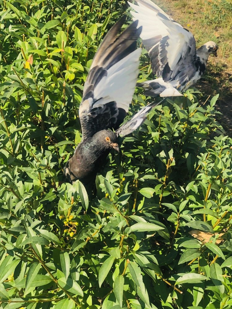 Photograph by Kateryna Tytar