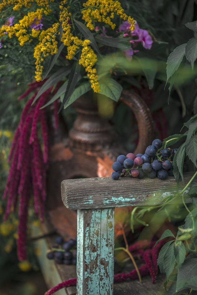 Photograph by Владимир Крышковец