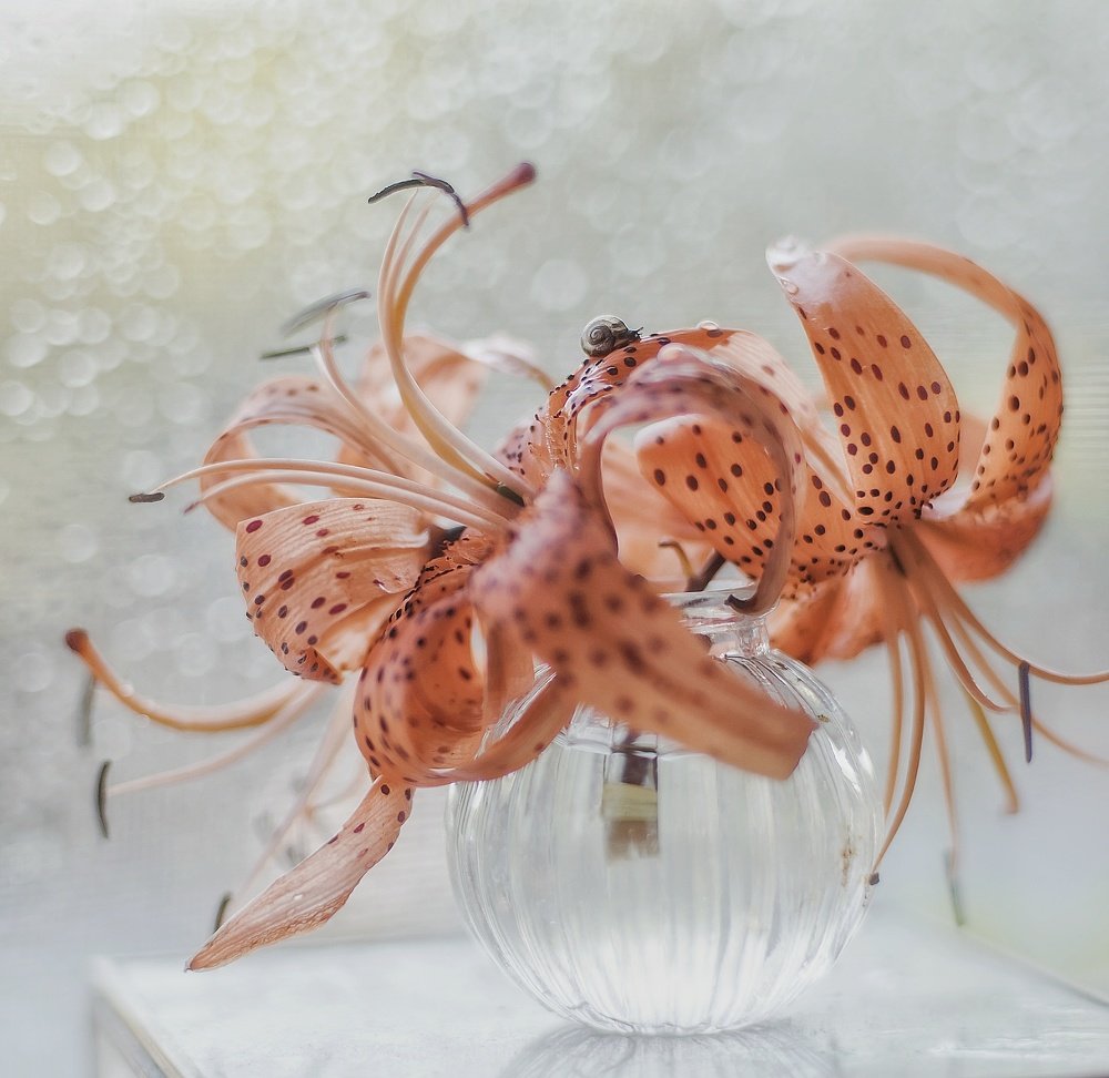 Photograph by Юлия Ильина