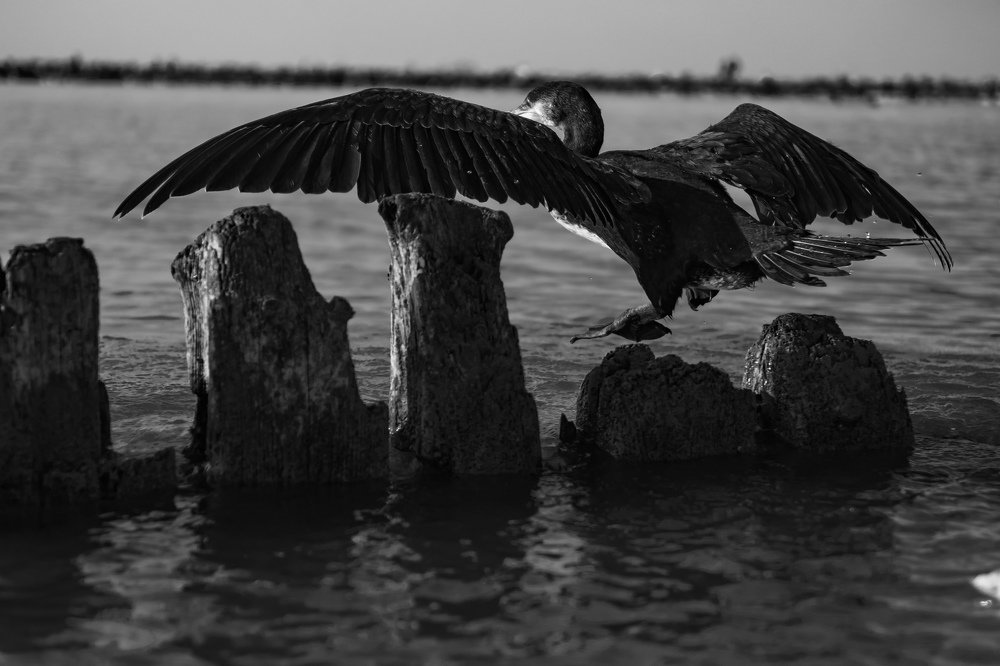 Photograph by Демьян Лопатов