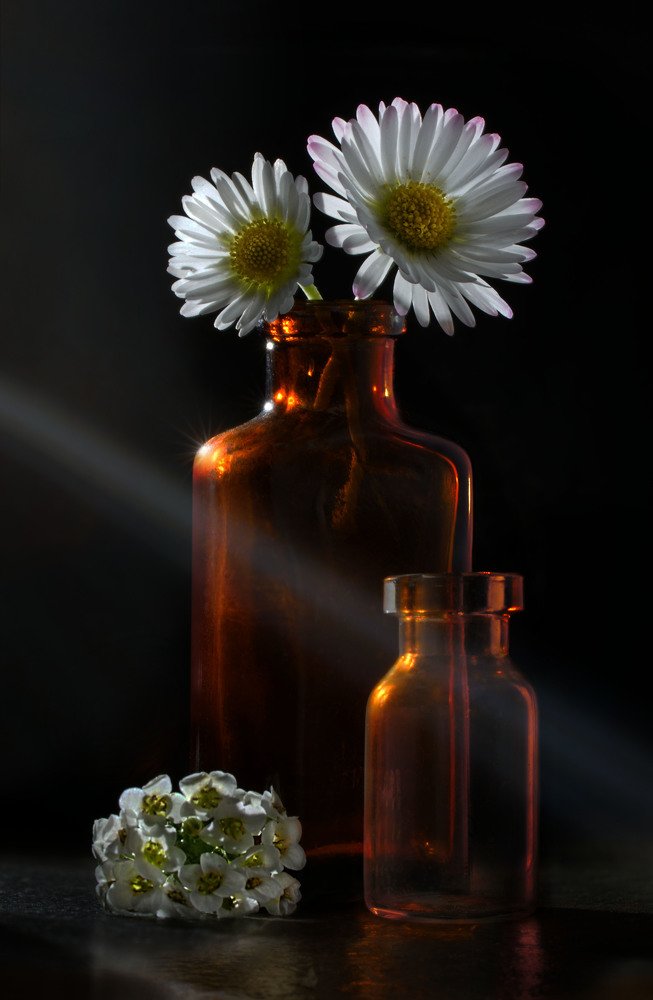 Photograph by Eduardo Modolo