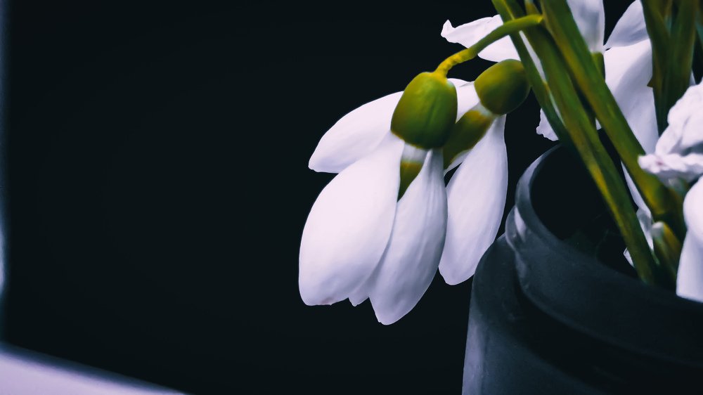 Photograph by Anitoaie Roberto Luigi