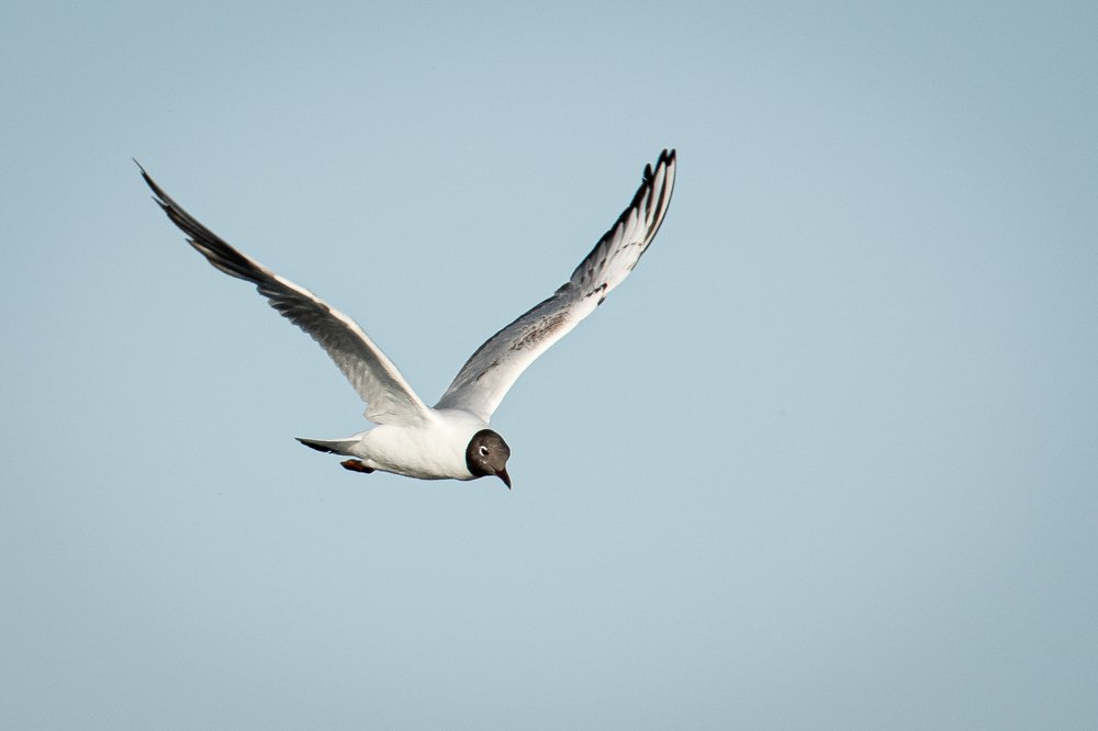 Фотография автора Андрей Барбиер