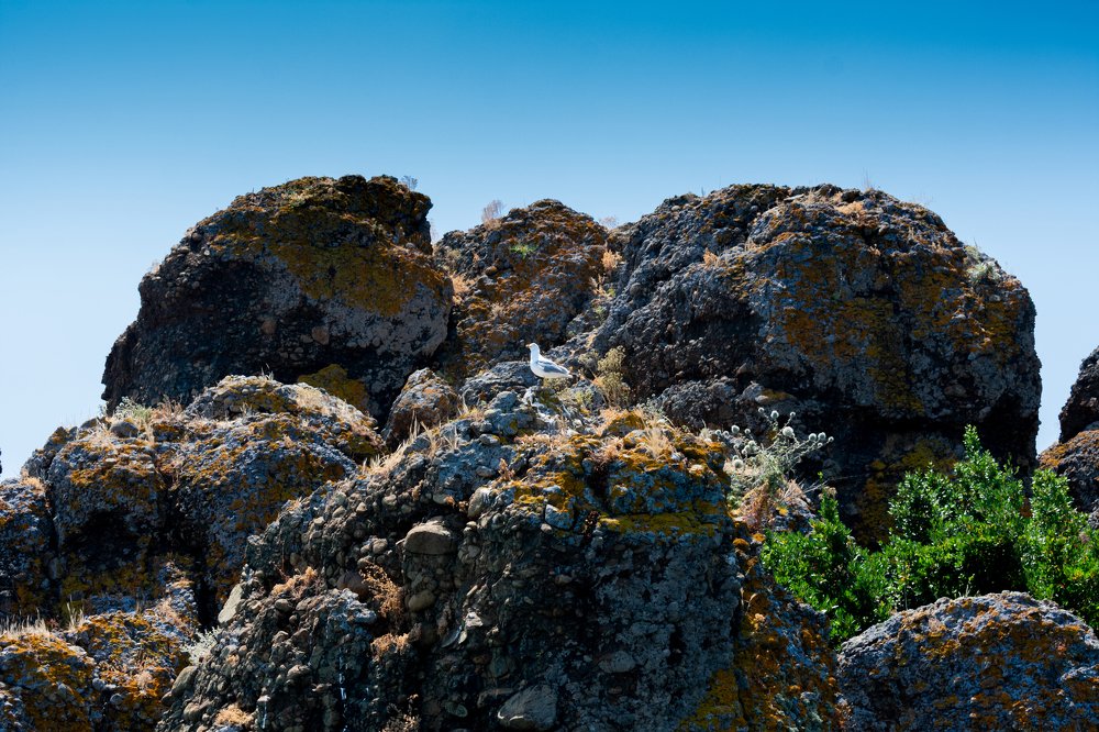 Photograph by Зураб Бабаев