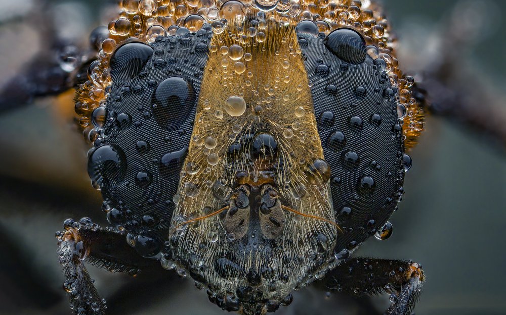 Photograph by Иван Радьков