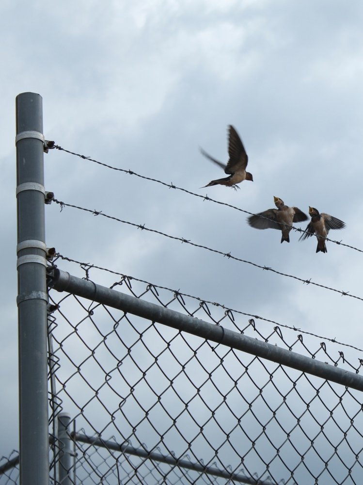 Photograph by Andrea Alcalá