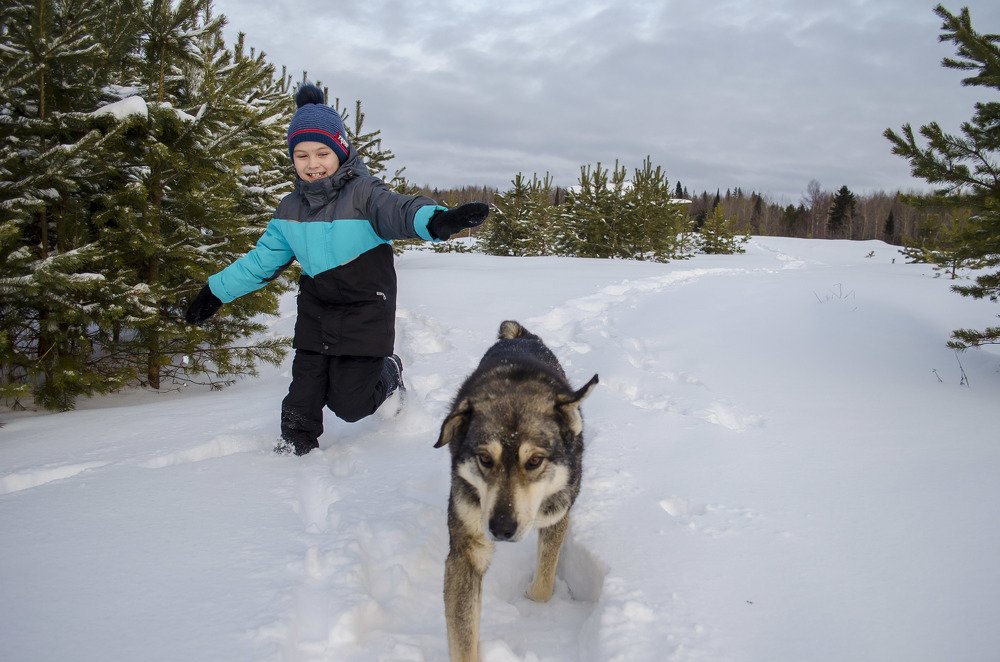 Барсик, стой!!!