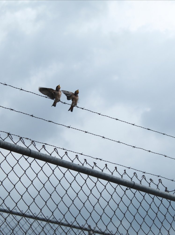 Photograph by Andrea Alcalá