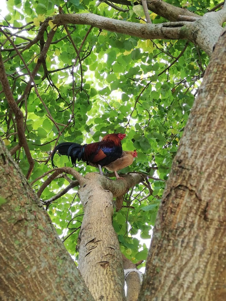 Photograph by Andrea Alcalá