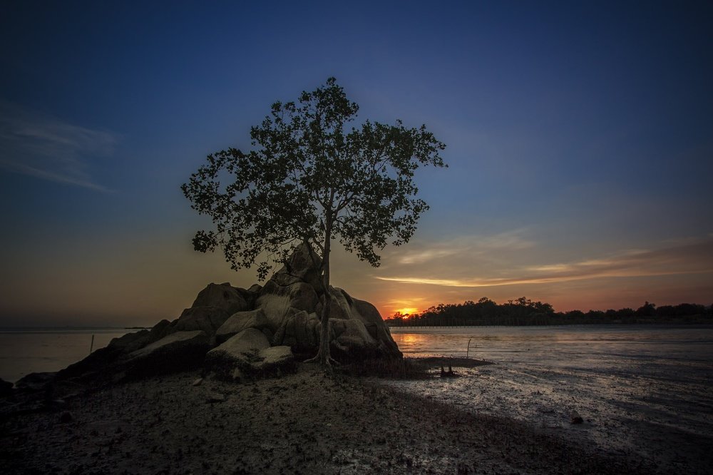 Photograph by micheal goh