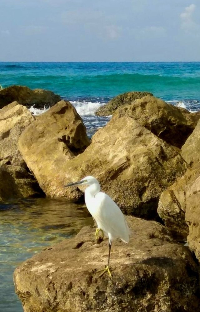 Photograph by Iren Kuzlo