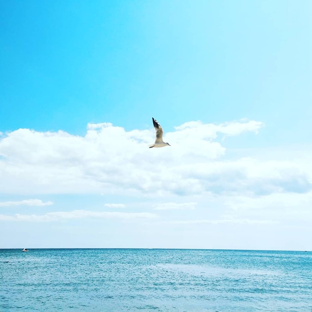 Хозяйка Чёрного моря